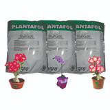 Plantafol Adubo 10 54 10 3 Kg Floração