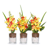 Plantas Decorativas Kit Com 3 Vasinhos