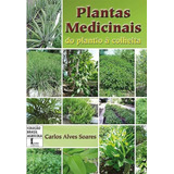 Plantas Medicinais Do Plantio À Colheita Ícone Editora
