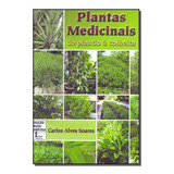 Plantas Medicinais Do Plantio A Colheita Icone