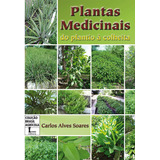 Plantas Medicinais Do Plantio À Colheita