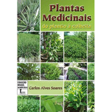 Plantas Medicinais Do Plantio À Colheita
