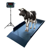 Plataforma 2 00x1 00 4 Ton travamento Peso