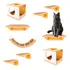 Playground Gato 9 Peças Super Resistente Montado Premium