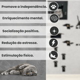 Playground Interativo 14 Pçs Para Gatos Suspenso Parede Cor Preto Tamanho G Grupo Paraíso