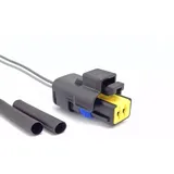Plug Conector P