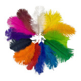 Pluma De Avestruz Confete 5 A 12 Cm Carnaval Artesanato 005 Cor Preto