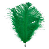 Pluma De Avestruz Confete 5 A 12 Cm Carnaval Artesanato 005 Cor Verde Bandeira