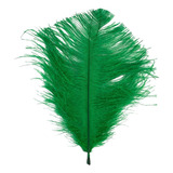 Pluma De Avestruz Confete 5 A 12 Cm Carnaval Artesanato 009 Cor Verde Bandeira