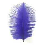 Roxo