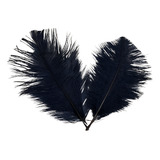 Pluma De Avestruz Confete 5 A 12 Cm Carnaval Artesanato 017