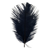 Pluma De Avestruz Confete 5 A 12 Cm Carnaval Artesanato 019 Cor Preto