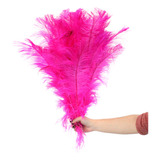Plumas De Avestruz Coloridas Tipo Palito Artesanato 100g