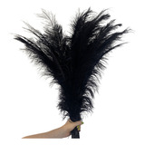 Plumas De Avestruz Palito 100g Decoração Artesanato Colorida