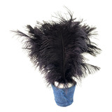Plumas De Avestruz Palito Ideal Decoração Carnaval 100g Cor Preto