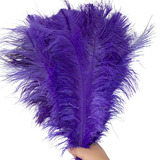 Roxo