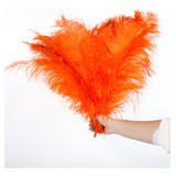 Plumas De Avestruz Tipo Extra Para Decorações De Festa Cor Laranja