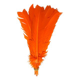 Plumas E Penas De Pato 25 Uni Laranja