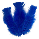 Plumas E Penas De