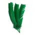 Plumas E Penas De Pato 25 Uni Verde Bandeira