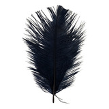 Plumas E Penas Fantasias Pena De Confete Pluma De Avestruz 5 12 Cm Carnaval Artesanato Cor Preto