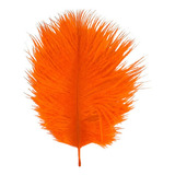 Laranja
