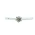 Pocao2005- Anel De Ouro Branco 18k750 Diamante 3645