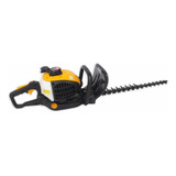 Vp2450