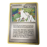 Pokemon Wally s Training