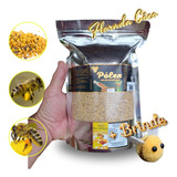 Pólen Apícola Desidratado Bees Buzz Energia Flor Côco 850g