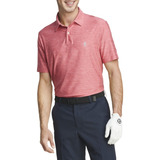 Polo Izod Golf Rapture Rose Xl