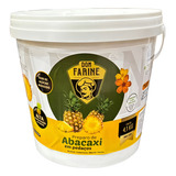 Polpa De Abacaxi Preparado