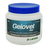 Lavizoo