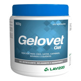 Lavizoo