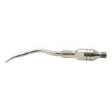 Microdont