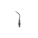 Dentflex