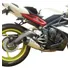 Ponteira Dogster Para Triumph Daytona 675 Aço Inox