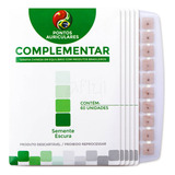 Ponto Auricular Semente Micropore Auriculoterapia 300 Un