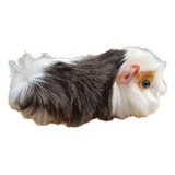 Porquinho Da India 
