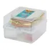 Porta Lanche Sanduicheira Dupla Plastico Sanremo 685