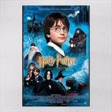 Poster 30x45cm Filmes Harry