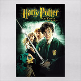 Poster 30x45cm Filmes Harry