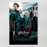 Poster 30x45cm Filmes Harry