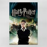Poster 30x45cm Harry Potter