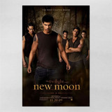 Poster 40x60cm Filmes A Saga Crepúsculo The Twilight 44