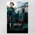 Poster 40x60cm Filmes Harry Potter 4 E O Cálice De Fogo 1