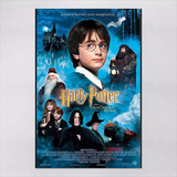 Poster 60x90cm Filmes Harry