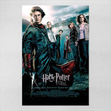 Poster 60x90cm Filmes Harry