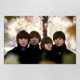 Poster 60x90cm The Beatles