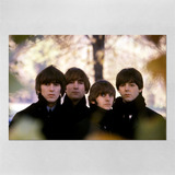Poster 60x90cm The Beatles Bandas De Rock 78